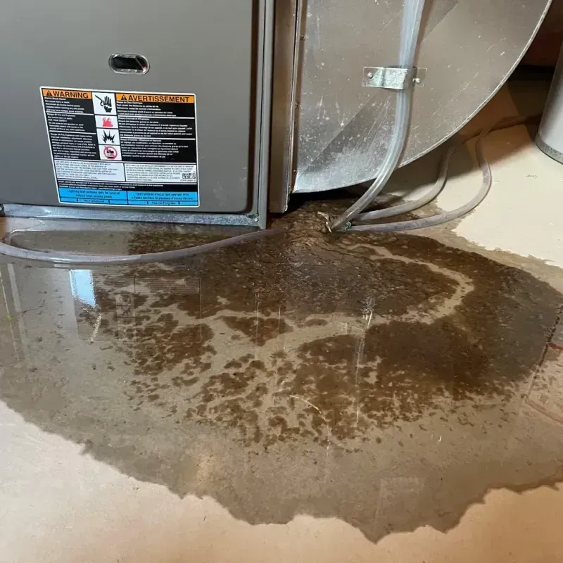 Appliance Leak Cleanup in Magnolia, TX